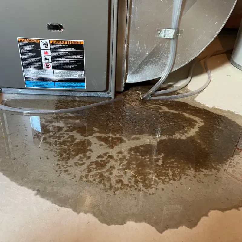 Appliance Leak Cleanup in Frankton, IN